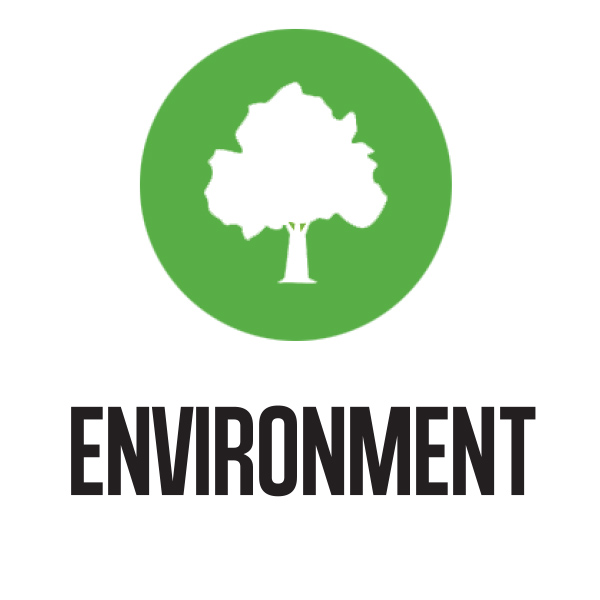 Environment